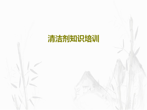 清洁剂知识培训24页PPT
