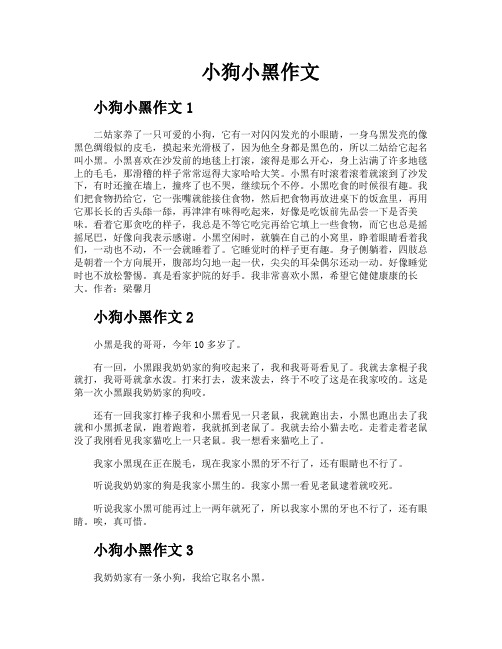 小狗小黑作文