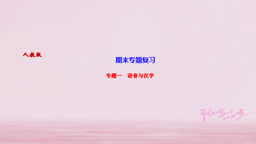 2019年秋九年级苏教版语文上册课件：专题一 语音与汉字 (共12张PPT)