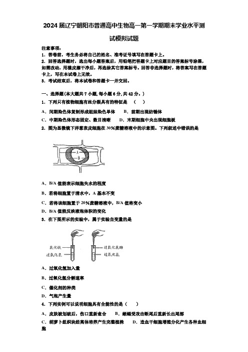 2024届辽宁朝阳市普通高中生物高一第一学期期末学业水平测试模拟试题含解析