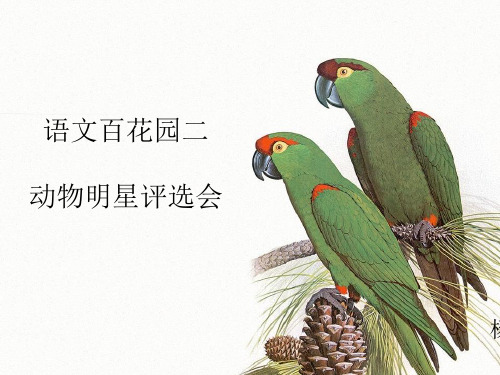 语文百花园二    动物明星评选会