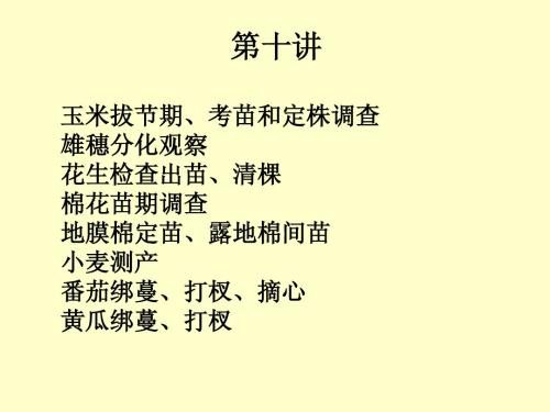 田间技术实验第十讲