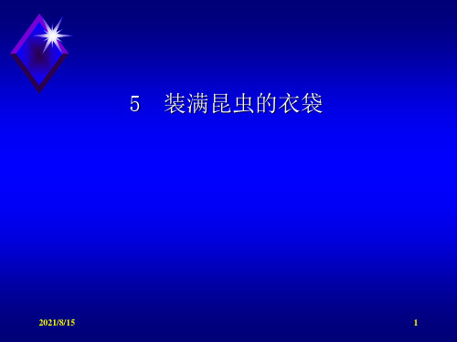 (赛课课件)五年级上册语文《装满昆虫的衣袋》(共32张PPT)
