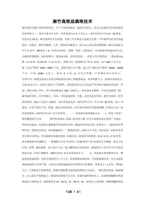 麻竹高效益栽培技术