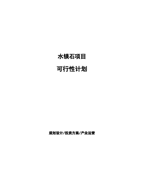 水镁石项目可行性计划