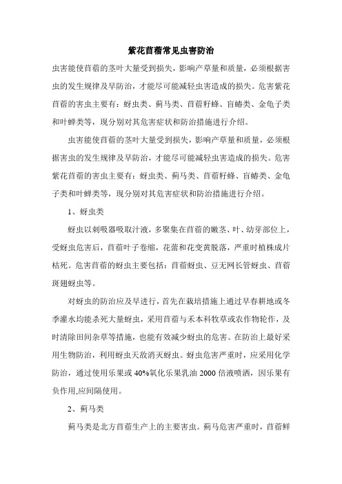 紫花苜蓿常见虫害防治