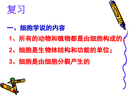 七年级上《细胞》ppt浙教版2