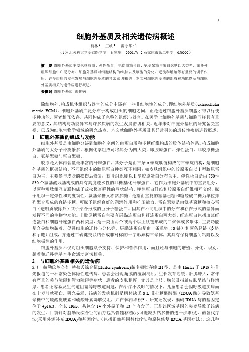 细胞外基质及相关遗传病概述