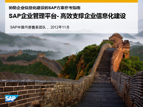 IT规划路线图_SAP方案参考指南V1.0