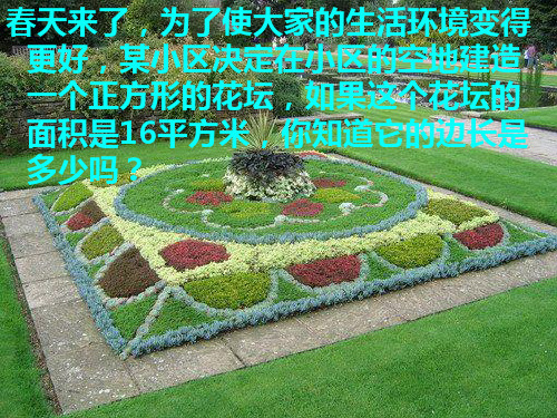 青岛版八年级数学下册《算术平方根》优质课件(共19张PPT)