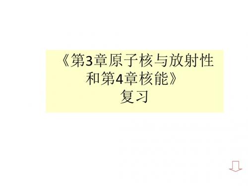 原子核与放射性、核能PPT课件 鲁教版