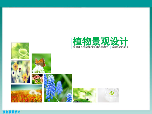 植物配置与造景课件第二章教材