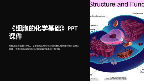 《细胞的化学基础》课件