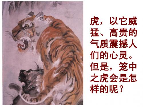 28.《华南虎》第一课时