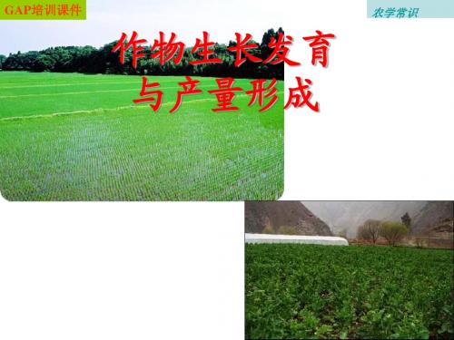 农学常识3产量