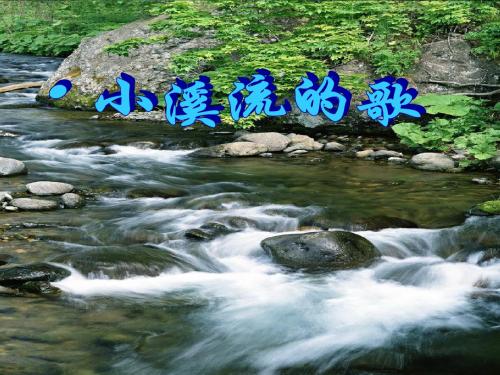 小溪流的歌ppt