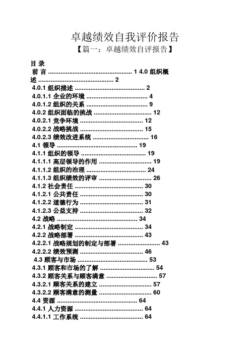 卓越绩效自我评价报告