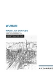 武汉王家墩西部住宅项目概念规划