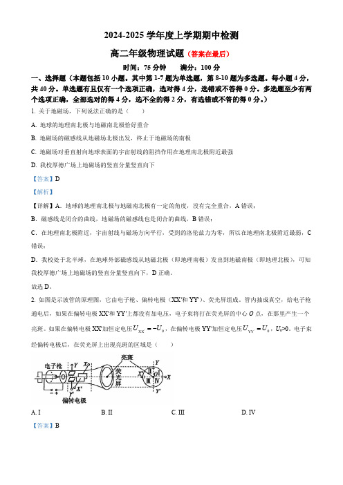 湖北省武汉市2024-2025学年高二上学期11月期中物理试题含答案