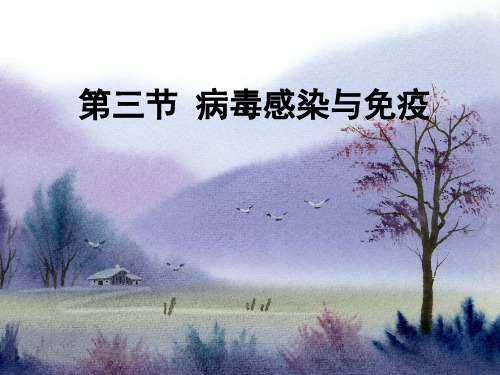 2013年 第三节 病毒感染与免疫