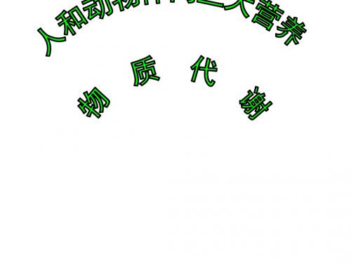 三大营养物质代谢(新编2019)