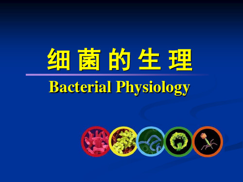 细菌的生理 PPT精品课件