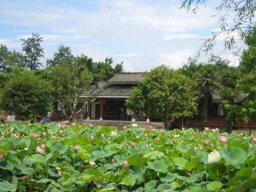 《莲叶青青》公开课课件