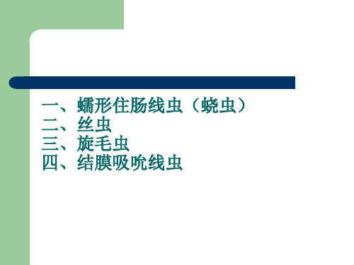 第二次：钩虫、丝虫、旋毛虫 蛲虫