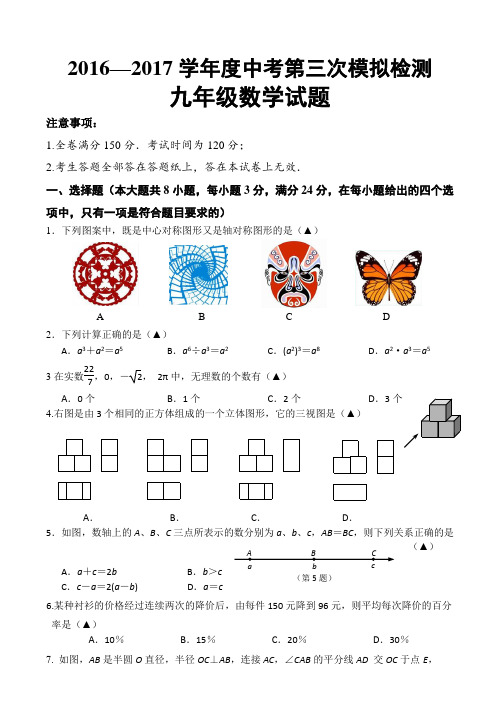 2017年数学中考三模检测试题