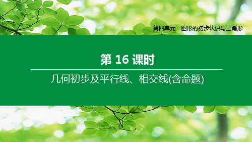 中考数学复习 第四单元 图形的初步认识与三角形 第16课时 几何初步及平行线、相交线(含命题)课件