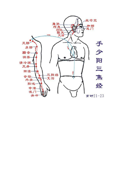 二十四时辰经络养生法