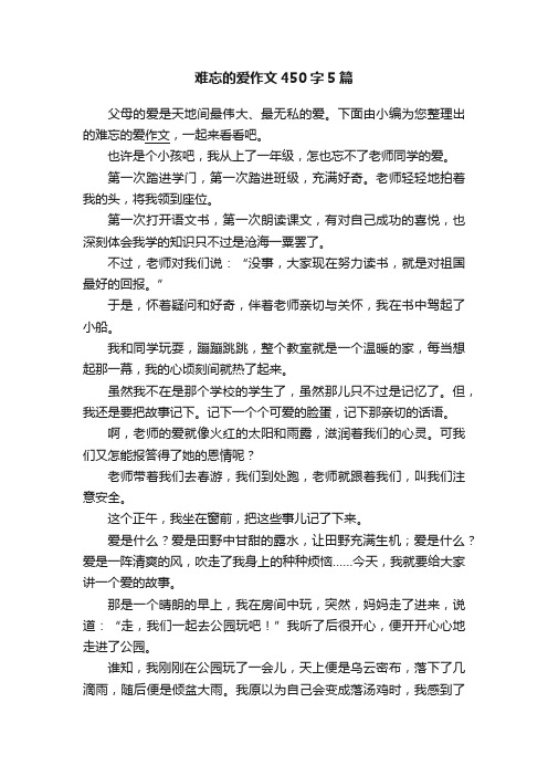 难忘的爱作文450字5篇