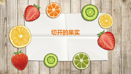 二年级下册美术课件-3.7 切开的果实丨岭南版 (共20张PPT)
