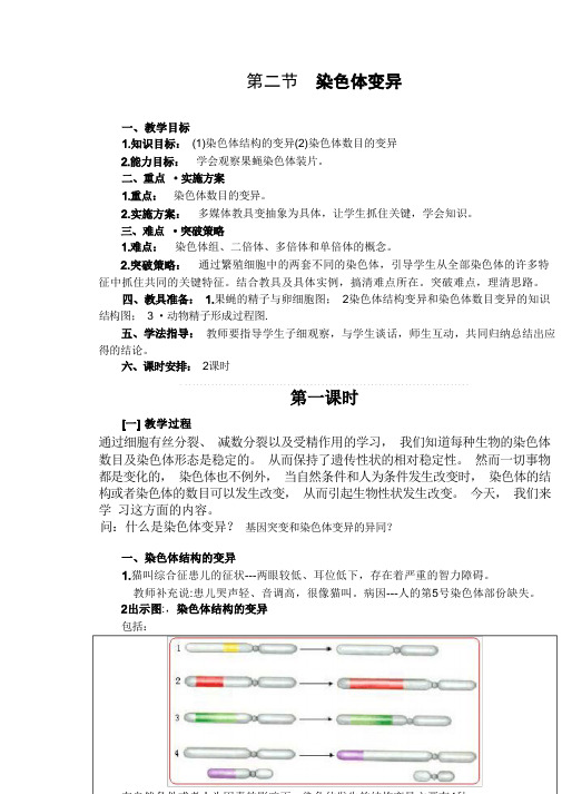 染色体变异公开课教案