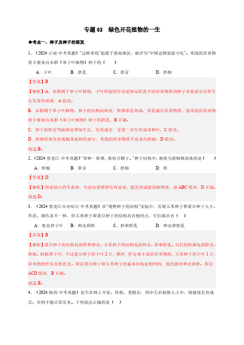 专题03  绿色开花植物的一生—2024生物中考真题分类汇编(解析版)