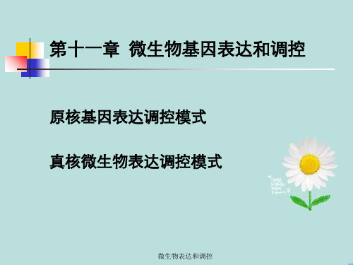 微生物表达和调控