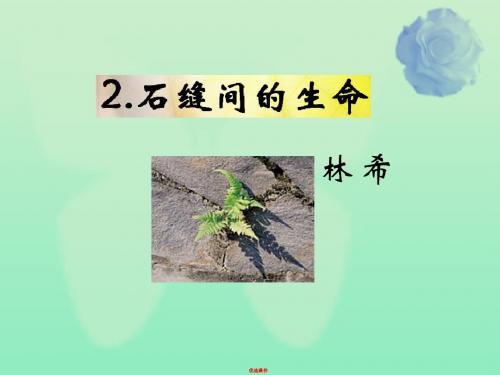 九年级语文下册第一单元2石缝间的生命教材课件语文版
