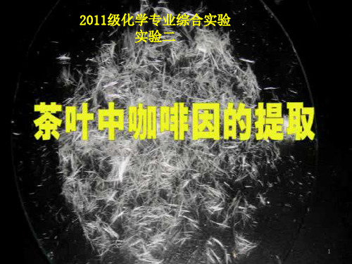 从茶叶中提取咖啡因ppt课件