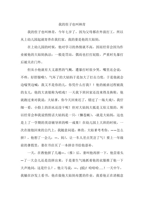 我的侄子也叫林肯-作文