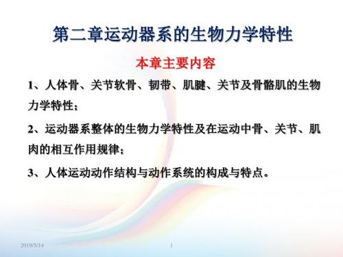 运动器系的生物力学