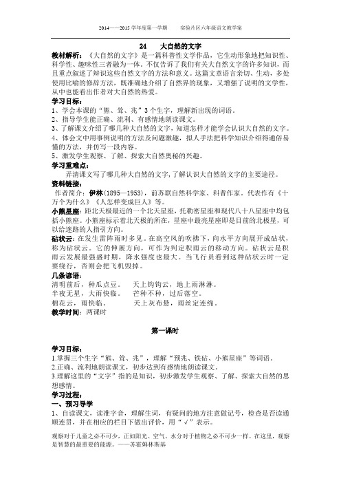 《24大自然的文字》教案
