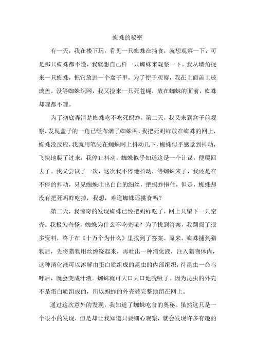 蜘蛛的秘密