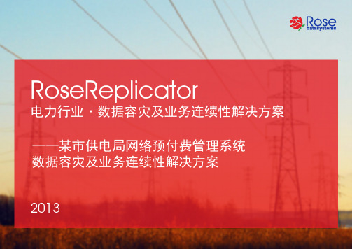 RoseReplicator电力行业·数据保护及业务连续性 解决方案