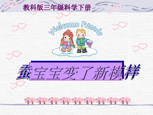 (教科版)三年级科学下册 蚕宝宝变了新模样 课件