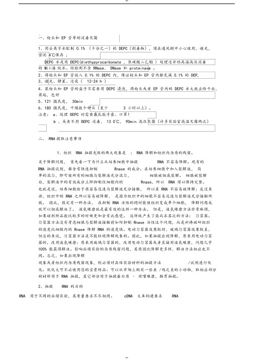 RNA提取准备工作及注意事项