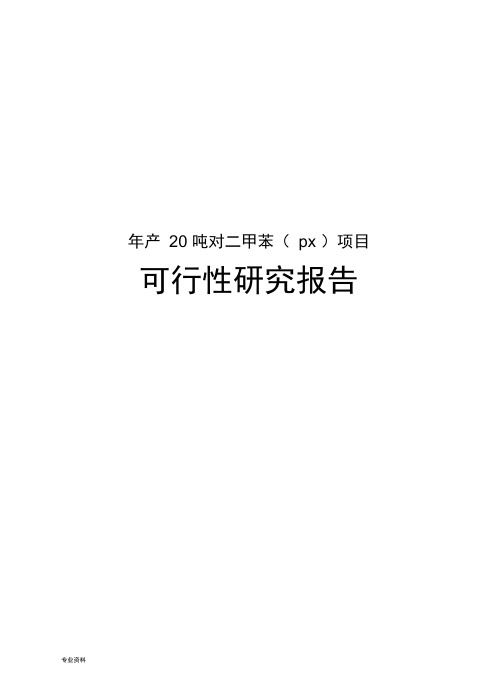 年产20吨对二甲苯(px)项目可行性研究报告