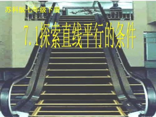 苏科 版数学 七年级下册第七章1 探索直线平行的条件课件(共22张PPT)