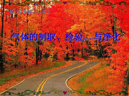 中考科学专题复习 气体制取、净化、检验专题复习课件