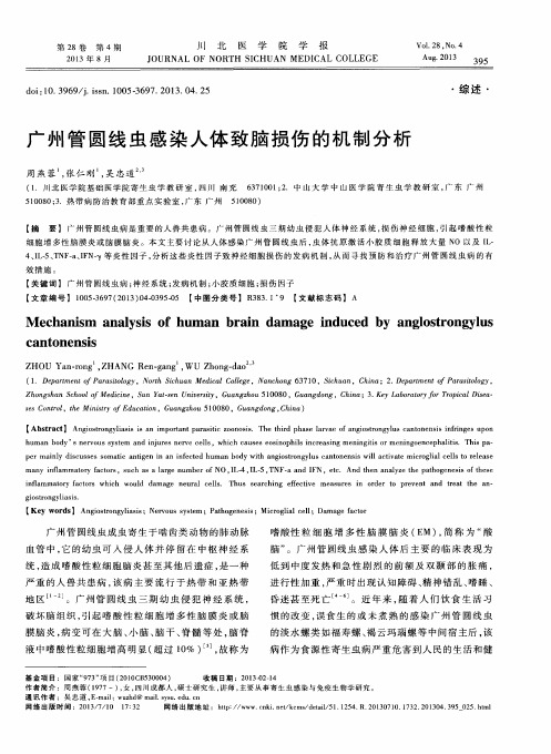 广州管圆线虫感染人体致脑损伤的机制分析