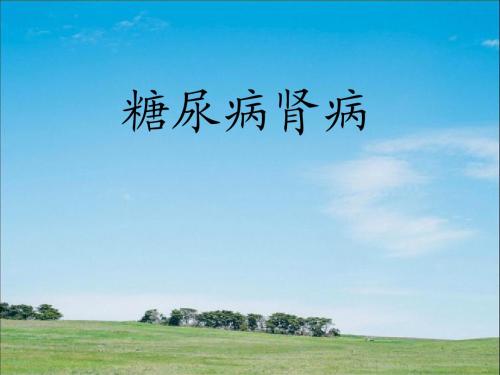 糖尿病肾病PPT课件